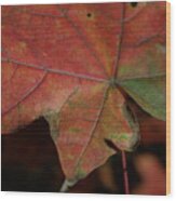 Fall Leaves 1 Wood Print