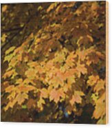 Fall Leaves 10 Autumn Leaf Colors Art Wood Print