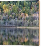 Fall Reflections On Deer Lake Wood Print