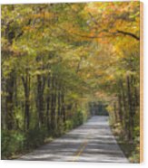 Fall Road At Oak Mountain Wood Print