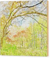 Fall Tapestry Of Colors And Textures Wood Print