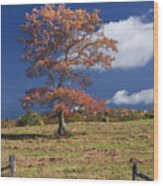 Fall Tree Wood Print