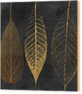 Fallen Gold Ii Autumn Leaves Wood Print