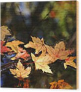 Fallen Leaves On Pond Wood Print
