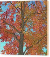 Fall's Farewell Wood Print