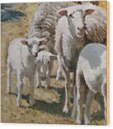 Family Of Sheep Wood Print