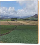 Farmland Near Rhynie, Aberdeenshire Wood Print