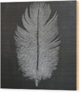 Feather 1 Wood Print