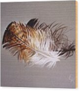 Feather And Shadow 2 Wood Print