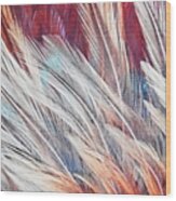Feather Brushed Abstract Wood Print
