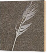 Feather In Beach Sand #1 Wood Print