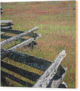 Fence And Field Wood Print