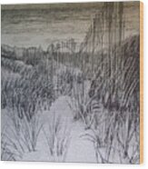 Fence In The Dunes Wood Print