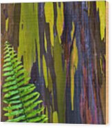 Fern Leave And Rainbow Wood Print