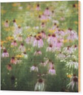 Field Of Coneflowers 5x6 Wood Print