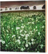 Field Of Dreams Wood Print