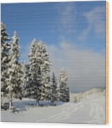 Fir Tree In Winter, Jura Mountain, Switzerland Wood Print