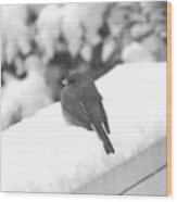 First Snow Junco Wood Print