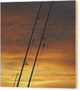 Fishing Poles At Sunset Wood Print