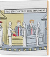Five Stages Of White House Employment Wood Print