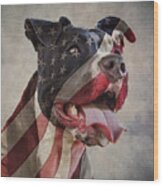 Flag Dog Wood Print