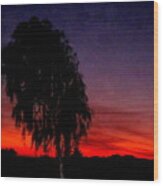 Flaming Sunset In Arizona Wood Print