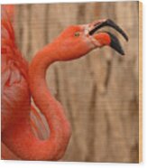 Flamingo Calling Out Wood Print