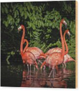 Flamingo Tropical Paradise Wood Print