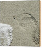 Fleeting Footprint - South Beach Miami Wood Print