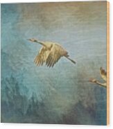 Flight Of Fantasy, Sandhill Cranes Wood Print