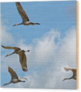 Flight Of The Cranes Wood Print