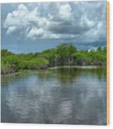 Florida Everglades Wood Print