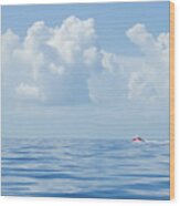 Florida Keys Clouds And Ocean Wood Print