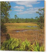 Florida Marsh Wood Print