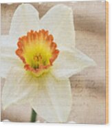 Flower 0440 Wood Print