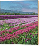 Flower Farm Heaven Panorama Wood Print