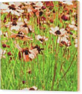 Flower Field Wood Print