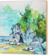 Flower Pot Island Wood Print