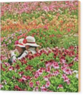 Flowerfields - A Picture Of Spring Wood Print