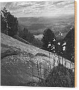 Flowers At Table Rock Overlook In Black And White Three Wood Print