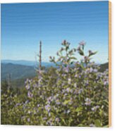 Flowers Of The Smokey Mountains Wood Print