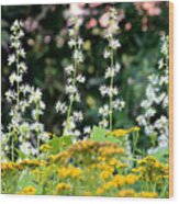 Flowers Sparkling Above The Tansies Wood Print