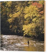 Fly Fisherman On The Tellico - D010008 Wood Print
