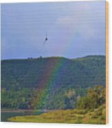 Fly Over The Rainbow Wood Print