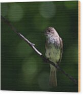 Flycatcher Wood Print