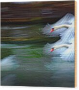 Flying Swans Abstract Wood Print