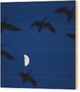 Flying With Moon L460 Wood Print