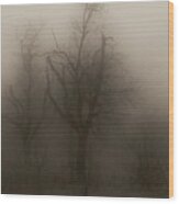 Fog 008 Wood Print