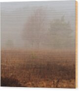 Foggy Field Wood Print