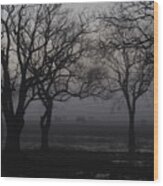 Foggy Morning Wood Print